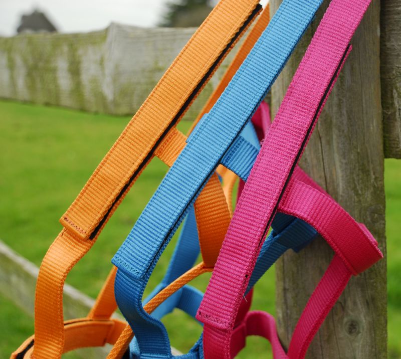 Field Safe Headcollar Rhinegold