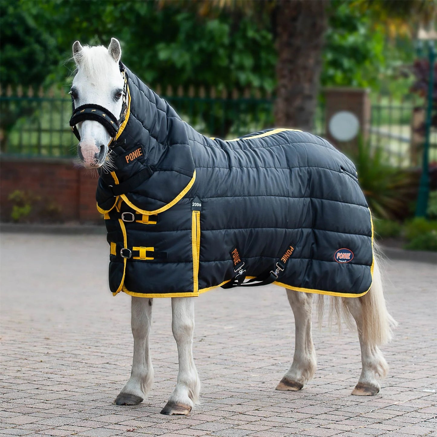 The Gallop Ponie Mediumweight 200g Combo Neck Stable Rug