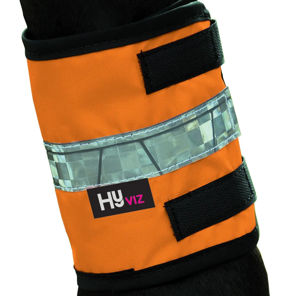 HyVIZ Leg Bands by Hy Equestrian