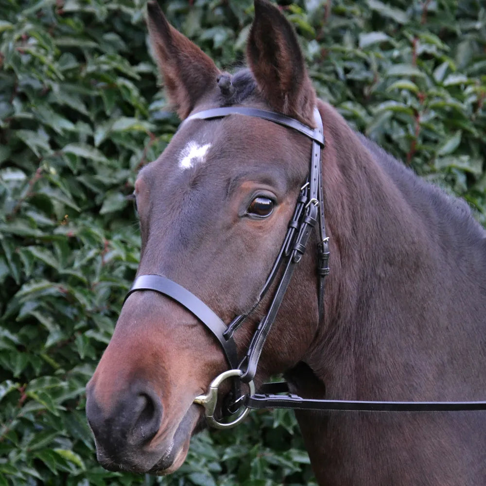 Hy Equestrian Hunter Bridle with Rubber Grip Reins