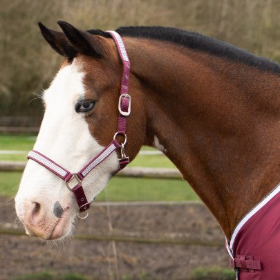 Gallop Diamante Headcollar and rope set