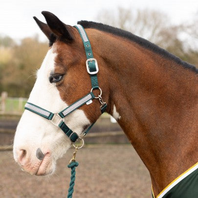 Gallop Diamante Headcollar and rope set