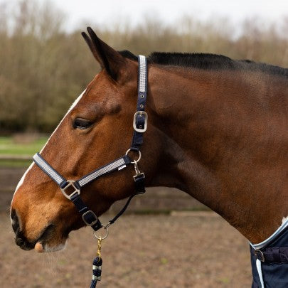 Gallop Diamante Headcollar and rope set