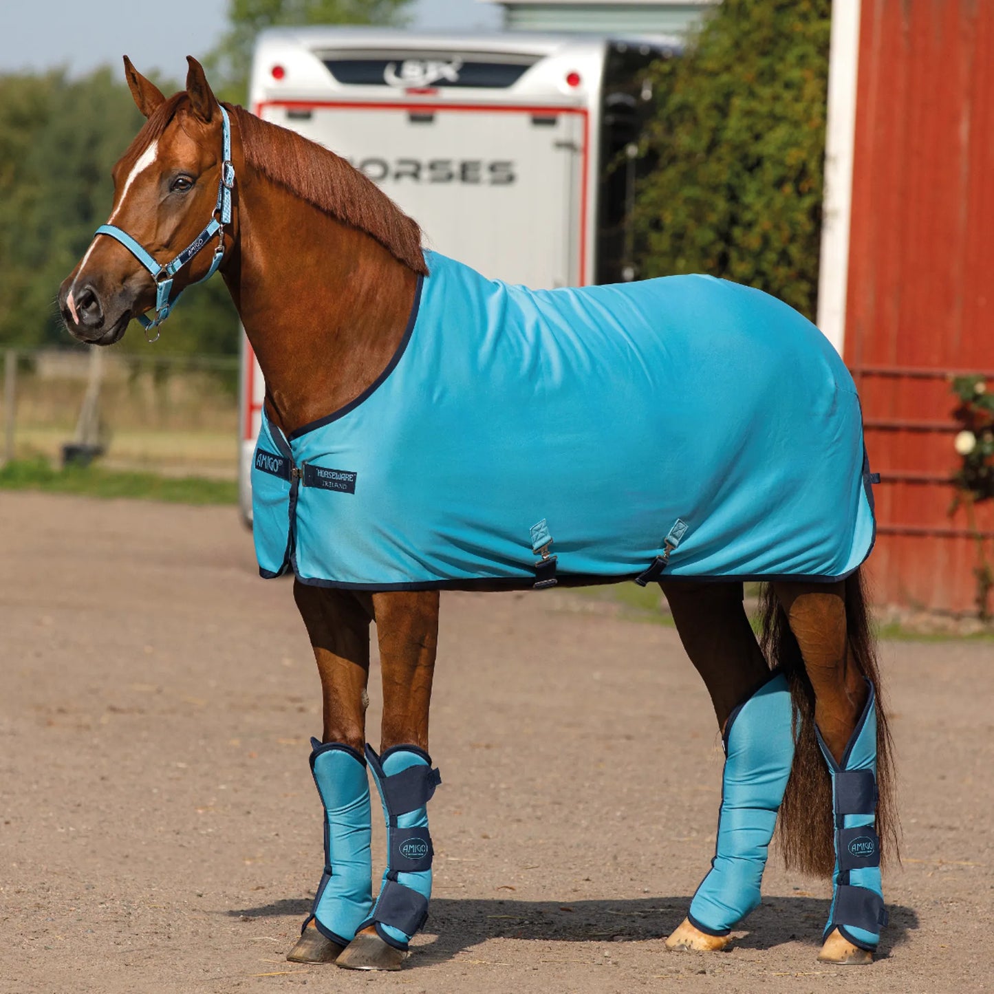 Horseware Amigo Jersey Cooler - Delphinium Blue/Navy