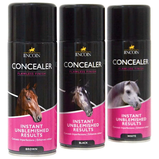 Lincoln Concealer Spray Aerosol