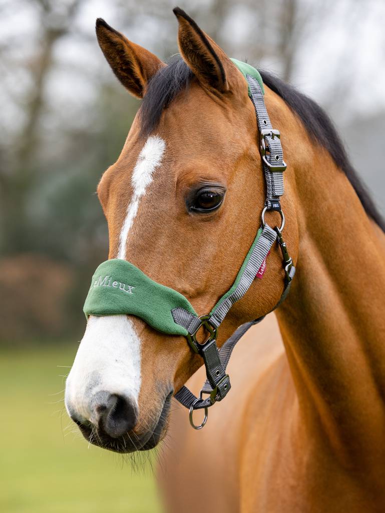 LeMieux Vogue Fleece Headcollar & Leadrope