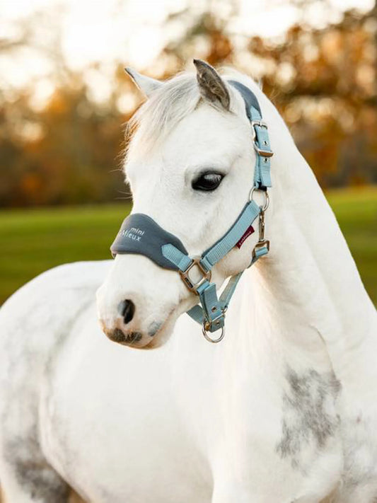 LeMieux Vogue Headcollar sets in Super Mini and mini