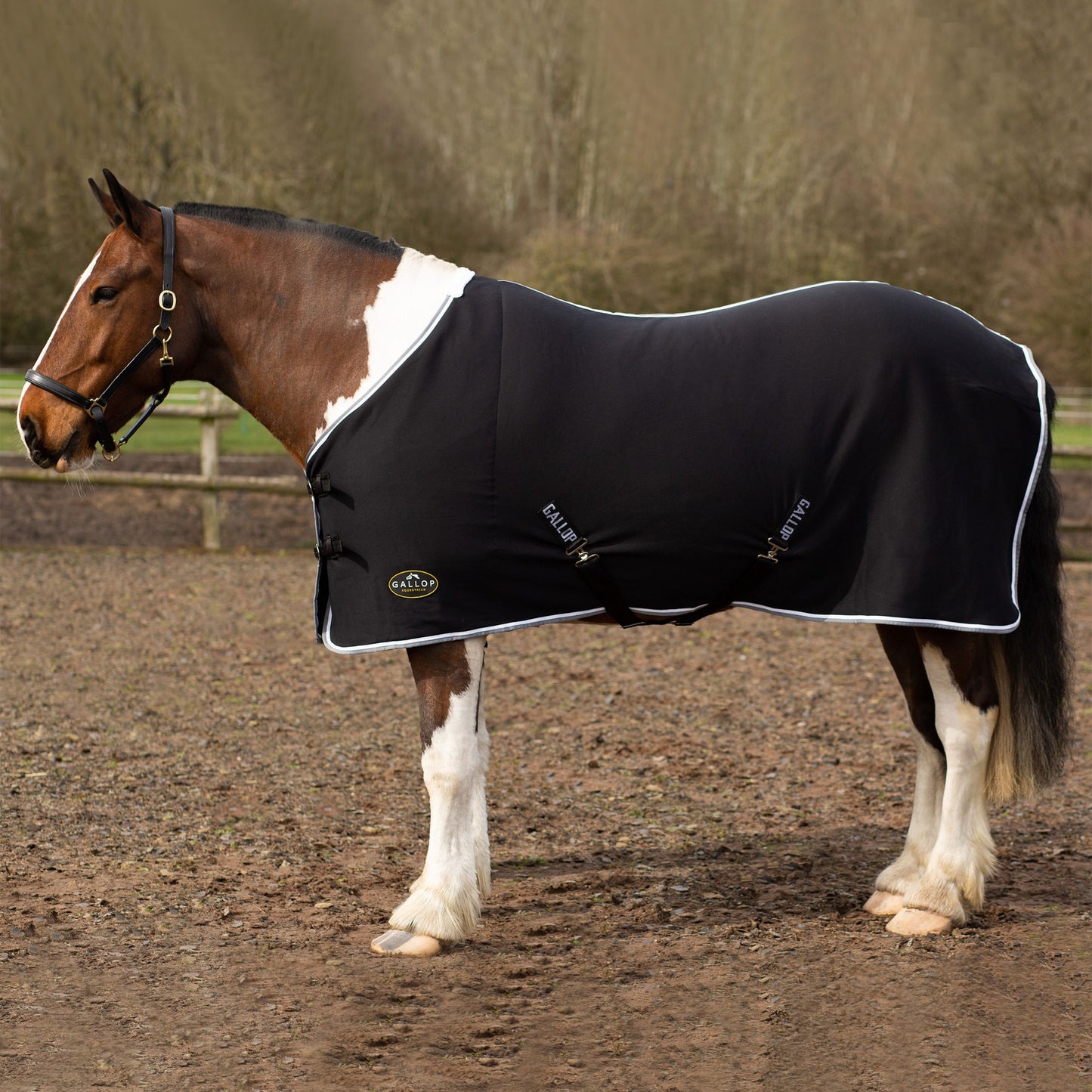 GALLOP  Jersey Cooler Rug