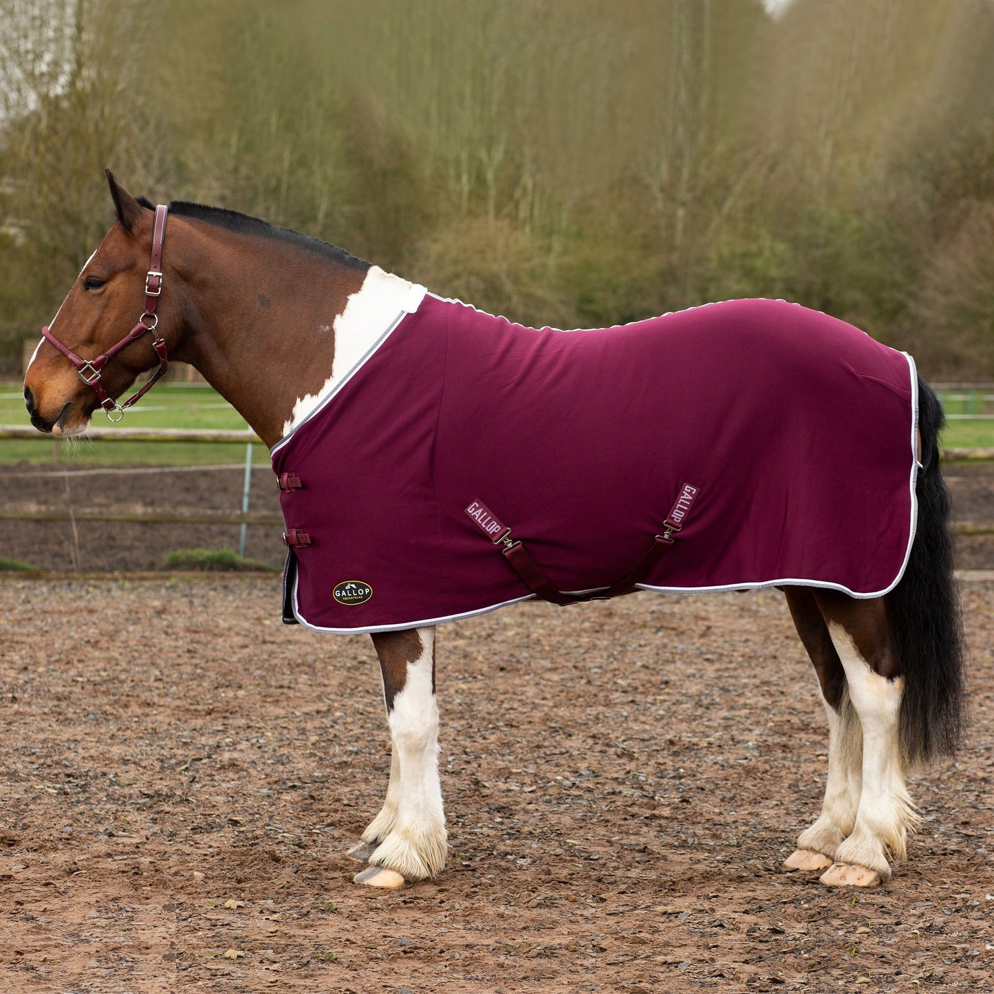 GALLOP  Jersey Cooler Rug