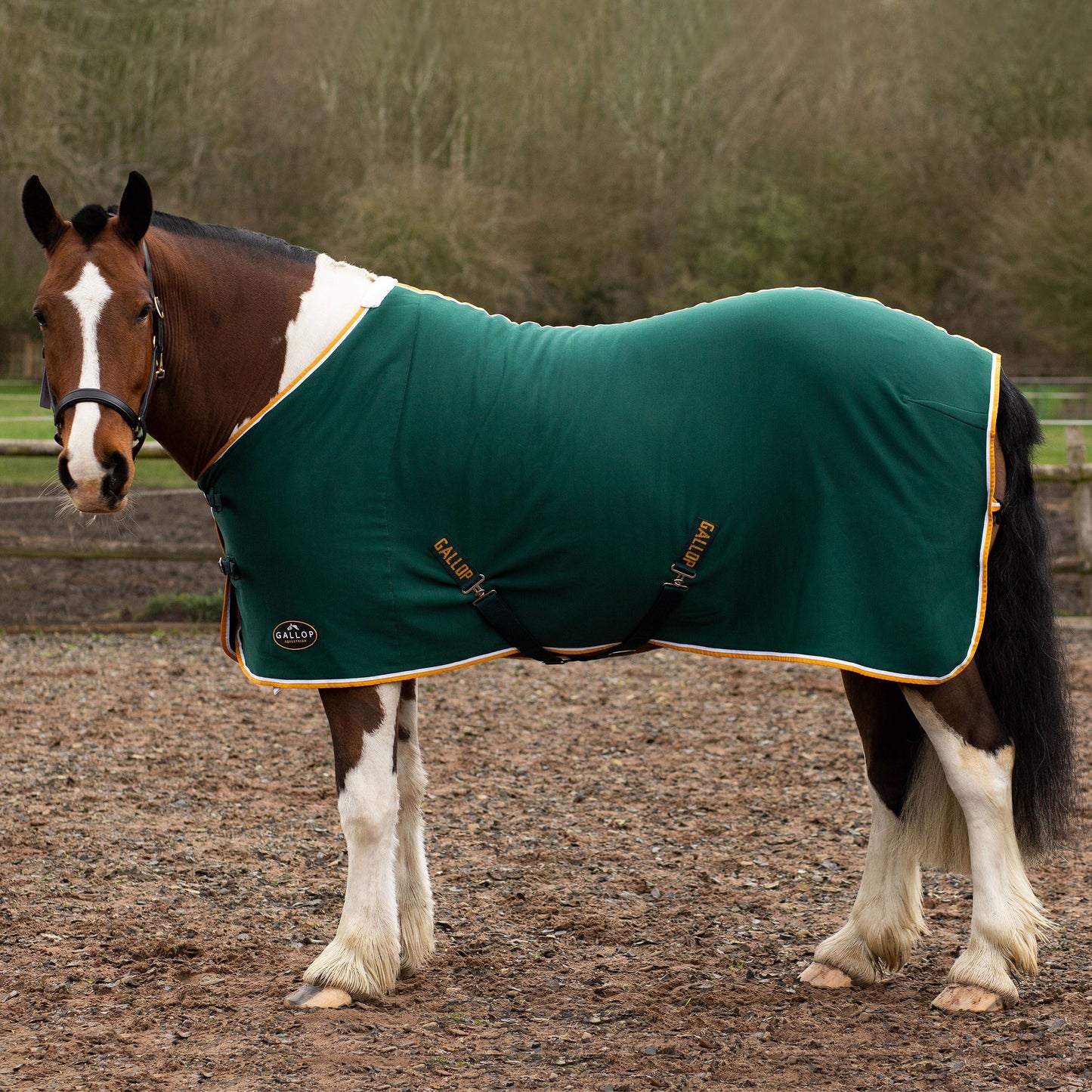 GALLOP  Jersey Cooler Rug