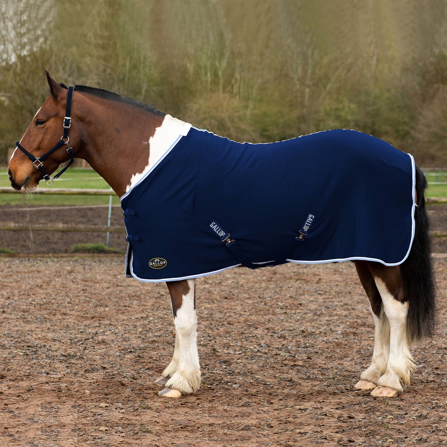 GALLOP  Jersey Cooler Rug