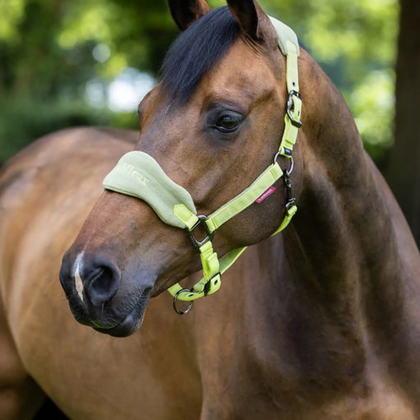 LeMieux Vogue Fleece Headcollar & Leadrope