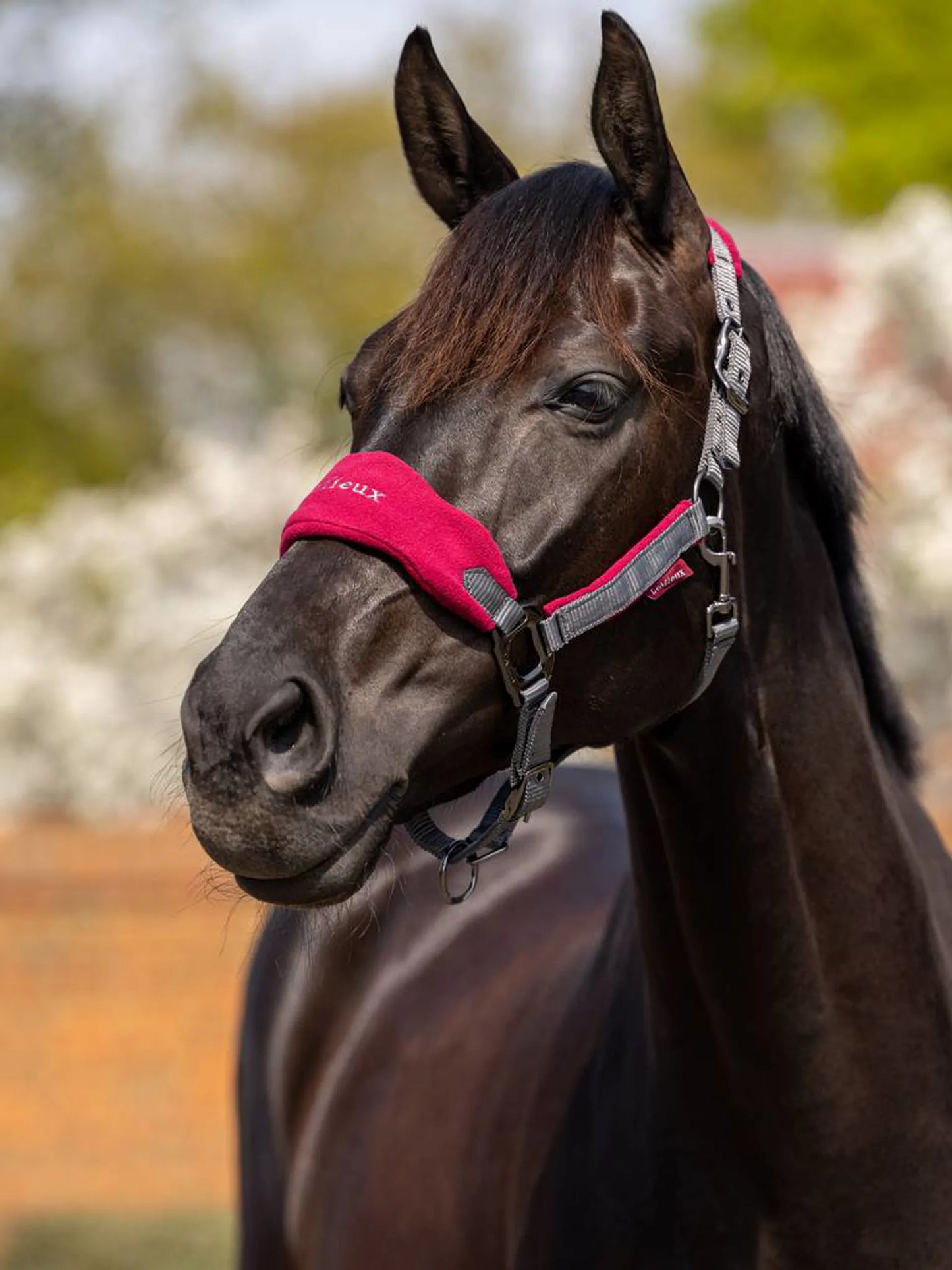 LeMieux Vogue Fleece Headcollar & Leadrope