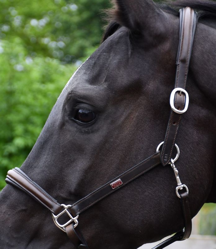 Rocco Italia Verona Leather Headcollar