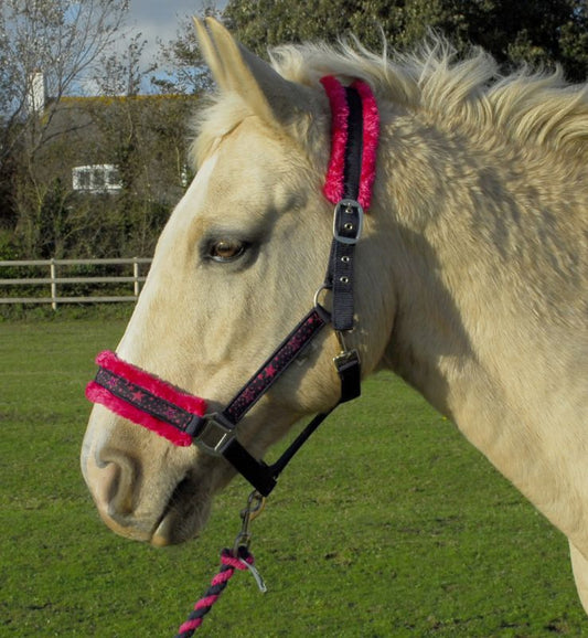 Crystal Star Headcollar & Lead Rope Set