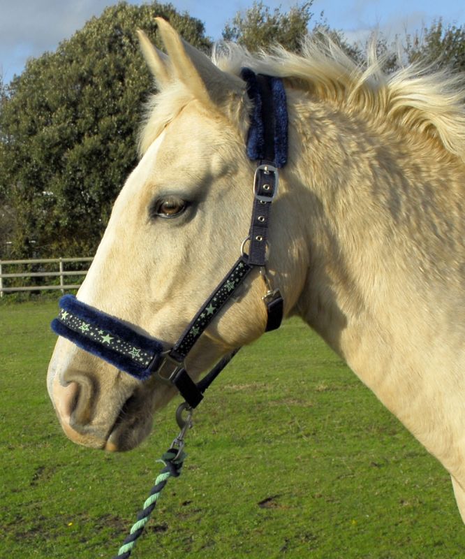 Crystal Star Headcollar & Lead Rope Set